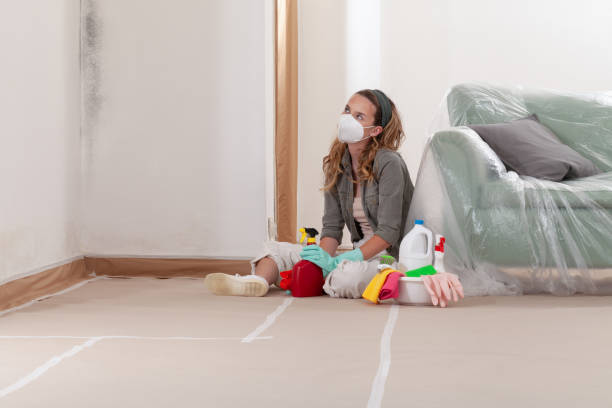 Reliable Black Mold Removal contractor in Dacono, CO by WQB Mold Removal